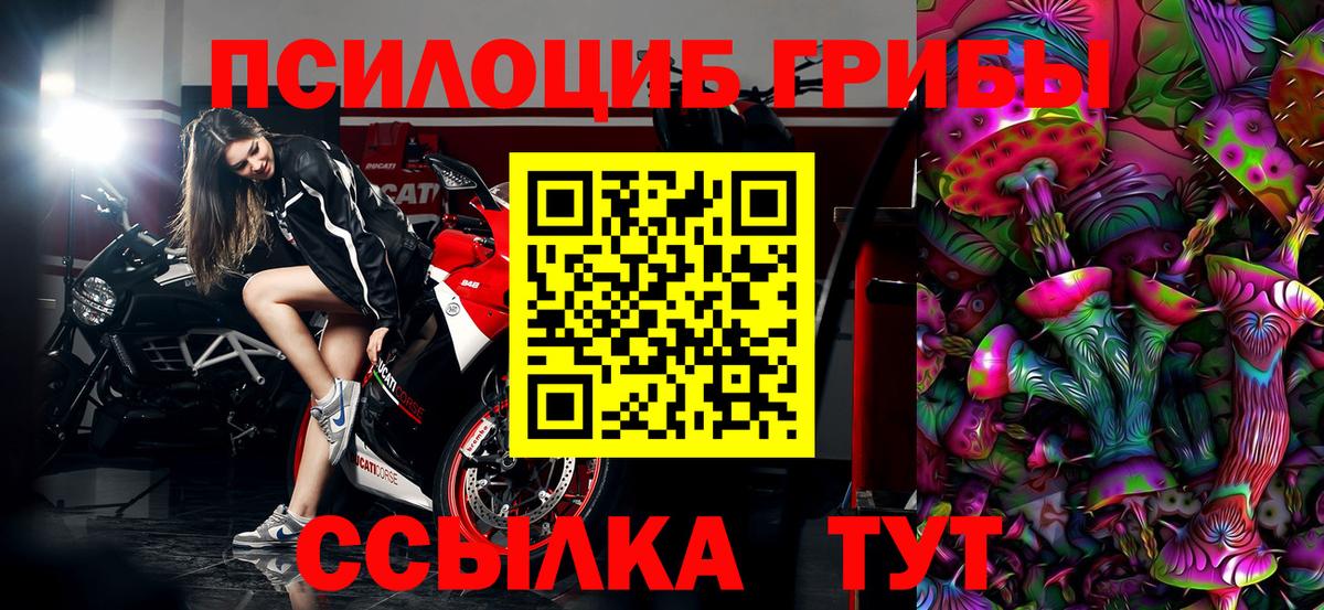 Галлюциногенные грибы прущие грибы Баксан