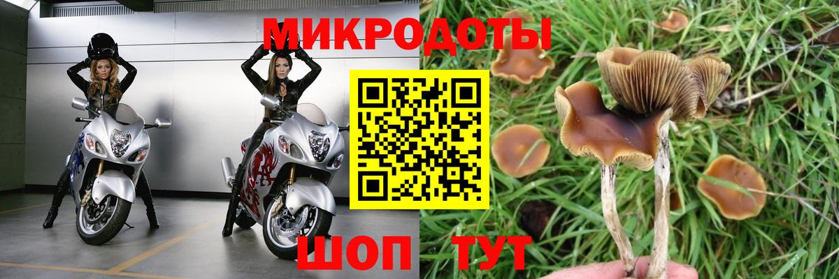 Галлюциногенные грибы ЛСД  Галлюциногенные грибы Psilocybe  Вход с VPN  Баксан 