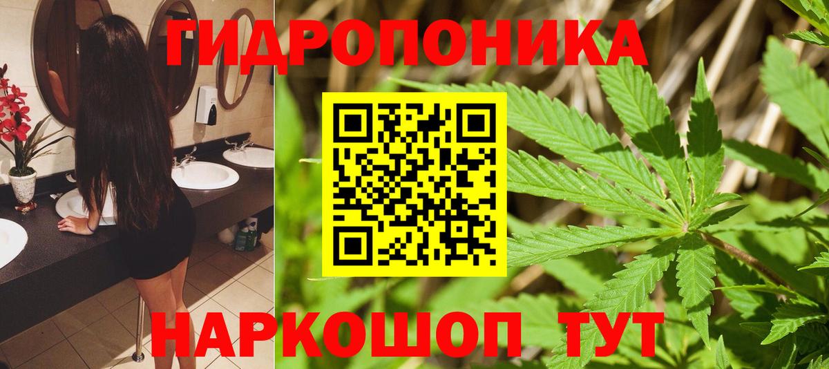 Баксан  МАРИХУАНА планчик  Вход с VPN  Марихуана MAZAR  МАРИХУАНА SATIVA & INDICA 